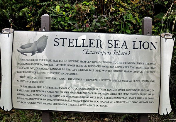 sign about Steller Sea Lions